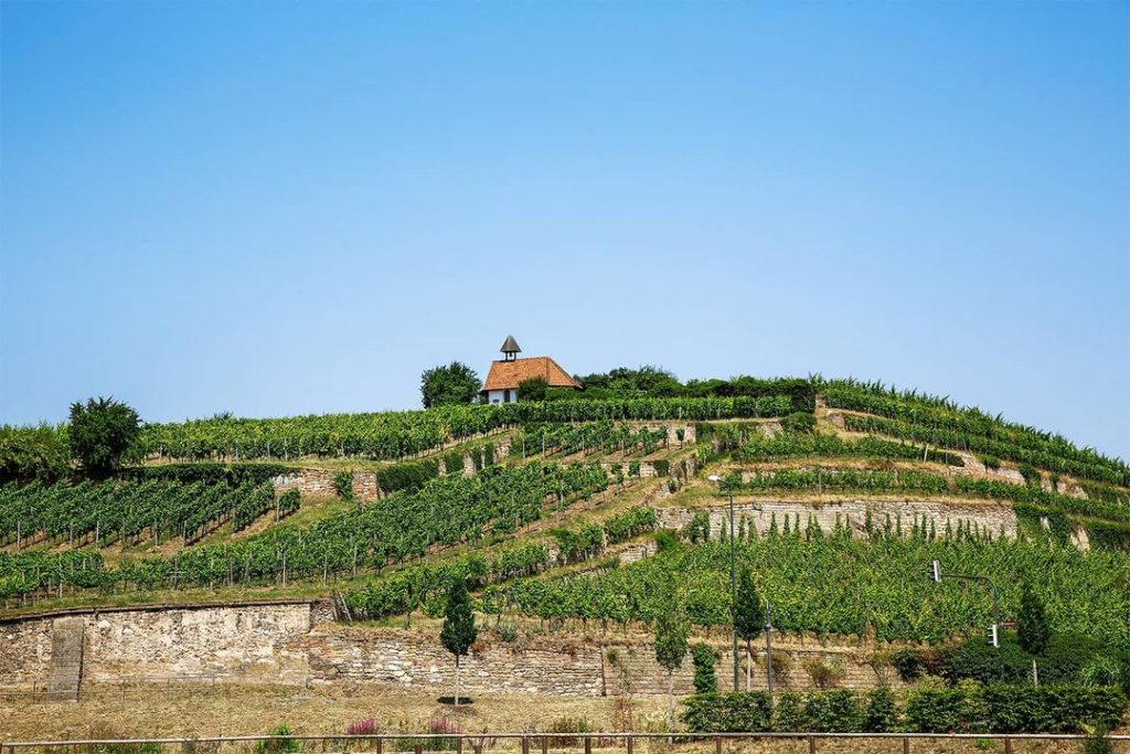 6762881b41c1ab38315ef7c3_lage-ungsteiner-herrenberg-p-1080